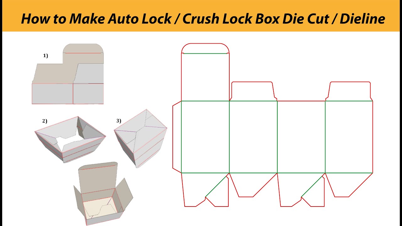 How to make Auto Lock / Crush Lock Base Box Die Cut / Dieline on Adobe Illustrator in Hindi / Urdu
