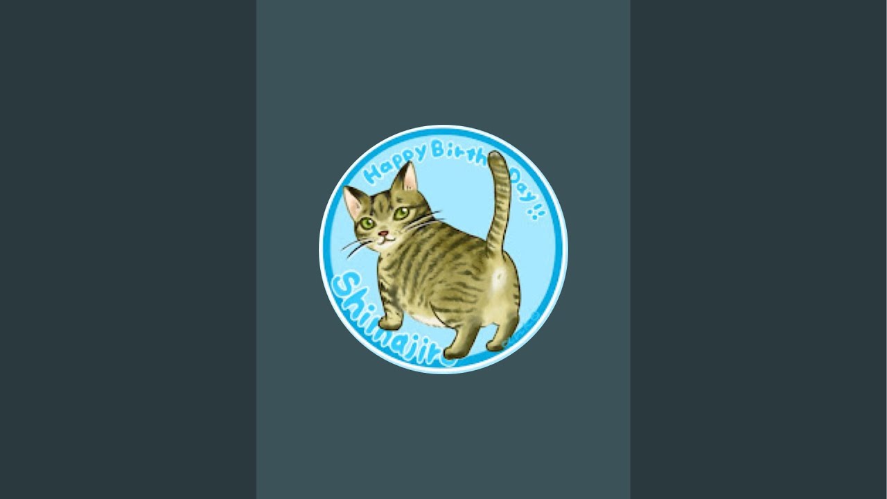縦型猫アザラシ刑務所