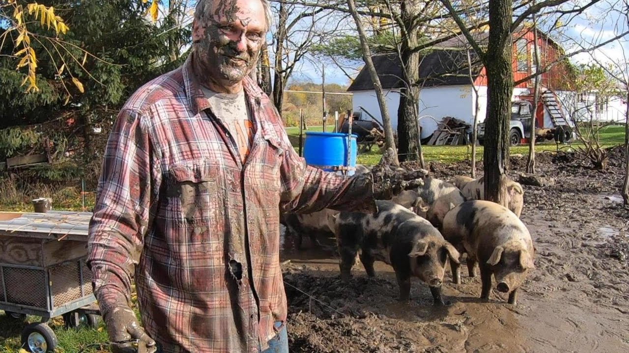 IT'S A SPECIAL DAY! (and not because I fall in pig mud)