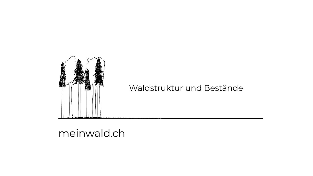 meinwald.ch &ndash; Waldstruktur und Best&auml;nde