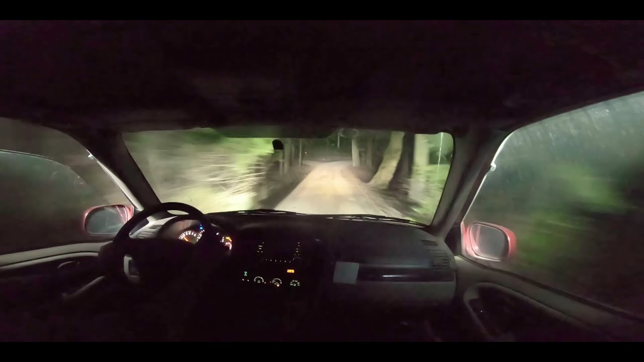I ACCIDENTALLY SOLVED REALITY WHILE DRIFTING IN THE FOREST