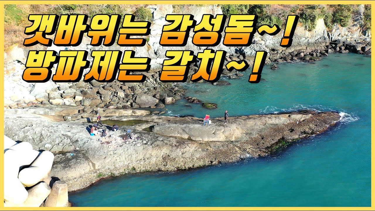갯바위에서는 감성돔 잘나오고, 방파제 내항에서는 갈치낚시 최적환경~!