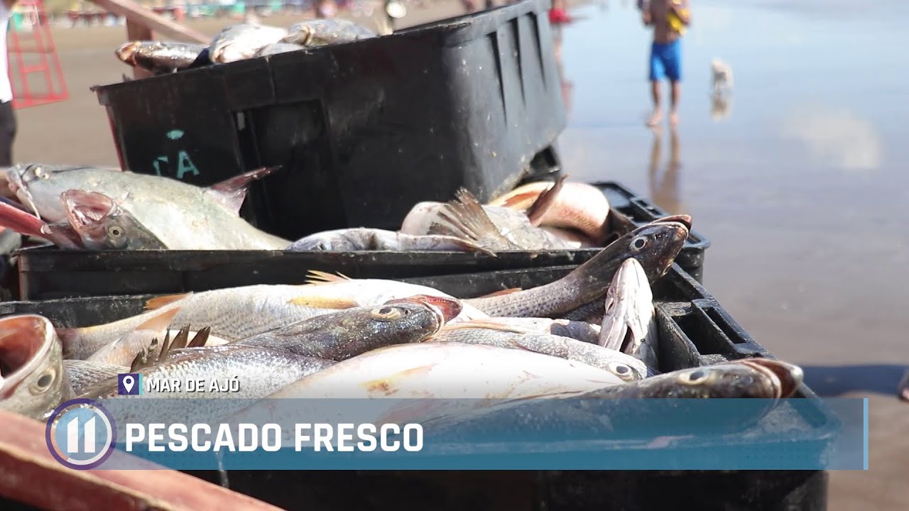 Pescado fresco en Mar de Ajó