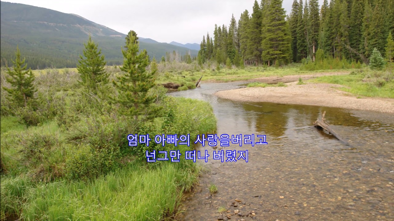 아들(Anak) - 이용복
