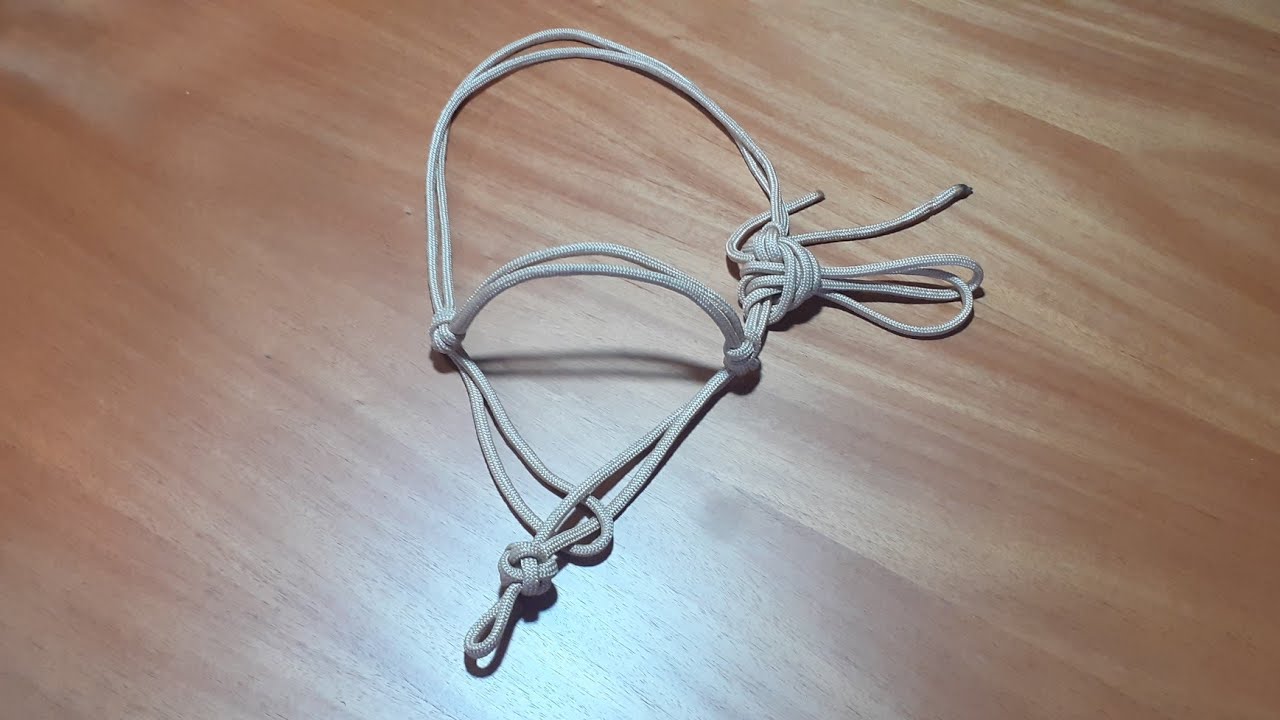 Cabresto para rodar potro.