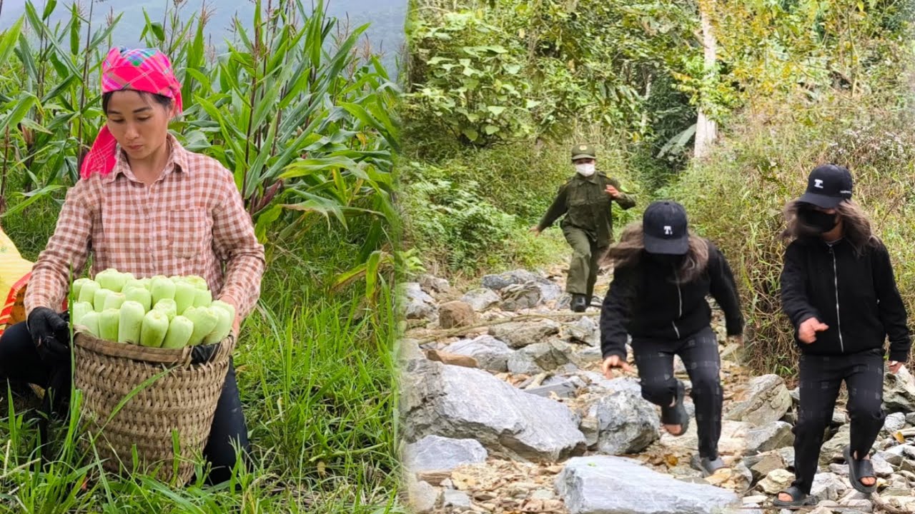 A single mother was harvesting corn to sell when police discovered a stranger at her farm.