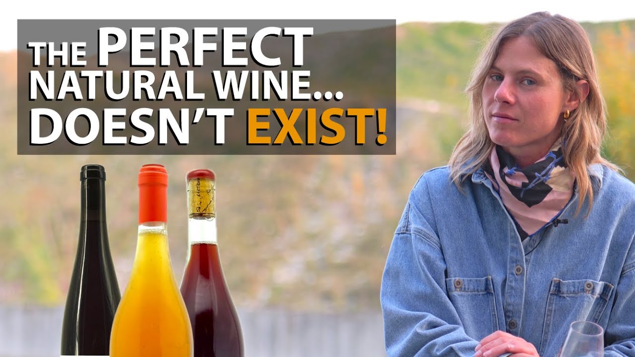 Rachel Signer: A conversation with natural wine writer & Pipette magazine founder