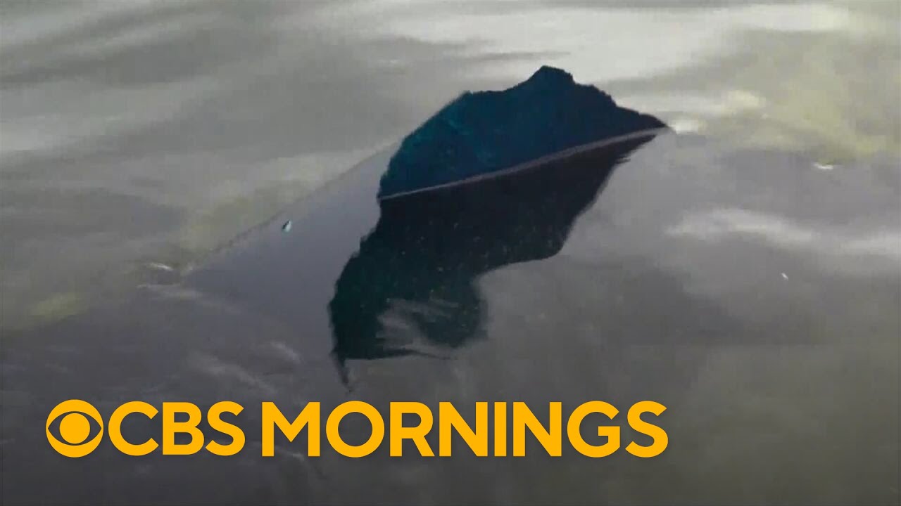 Paint peeling in Reflecting Pool after multimillion-dollar makeover