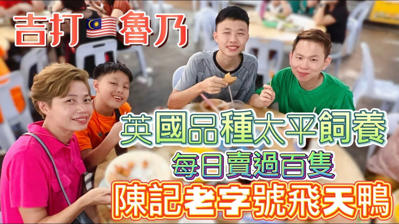 #Mangohk Lunas Tan Kee Roast Duck at Kupang in Malaysia 🇲🇾去到吉打魯乃🇬🇧英國品種太平飼養❇️每日賣過百隻🦆陳記老字號飛天鴨