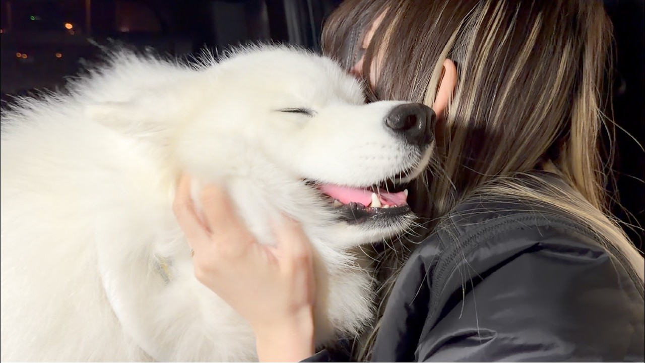 12時間ぶりの大好きなママとの再会にお耳ペタンコにしながら嬉しさを大爆発させる犬がかわいすぎました…