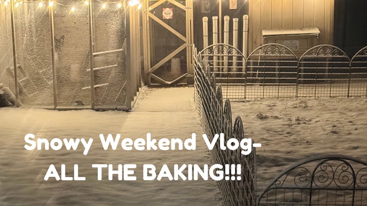 Snowy Weekend Vlog - So Much Baking! Baking for a Bake Sale, Doug's Bday Dinner, Trip To Ikea