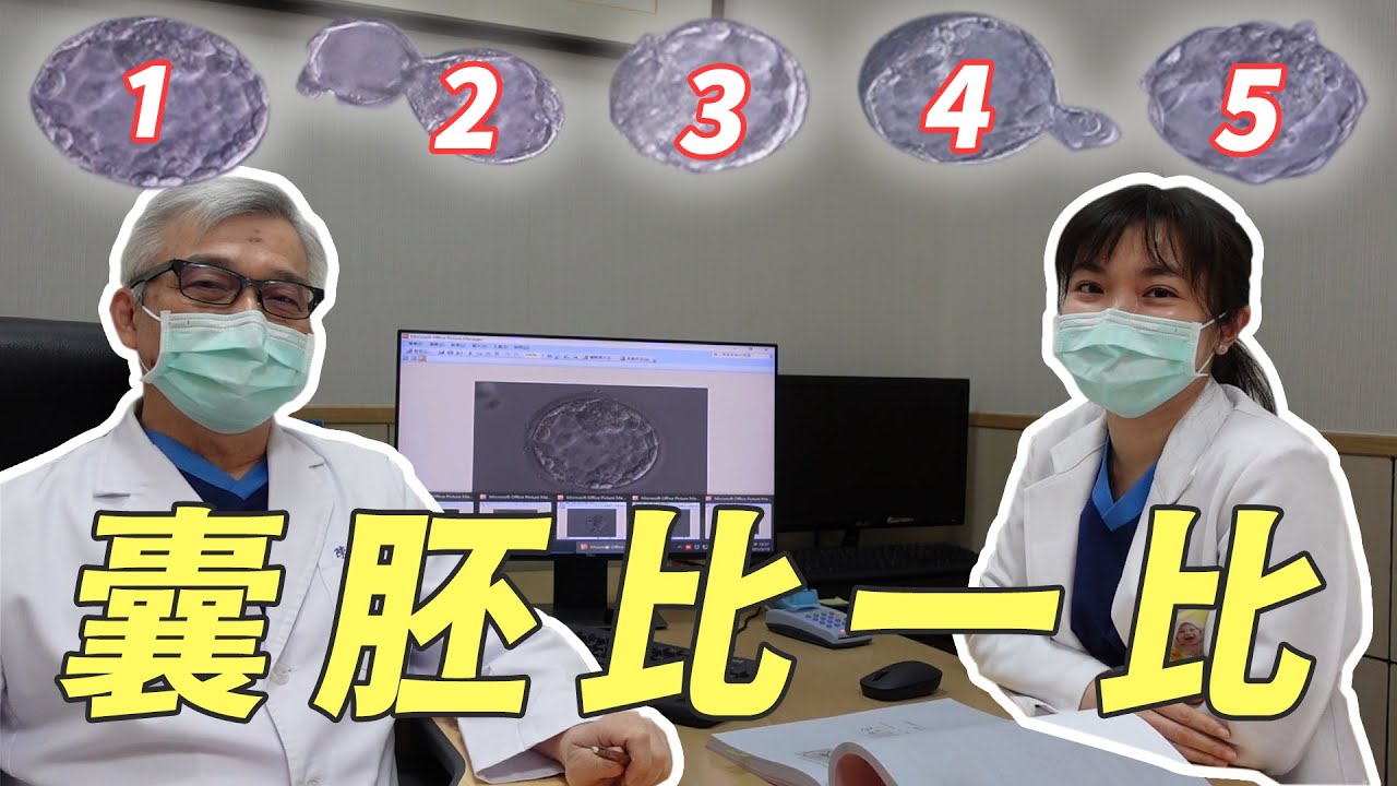 【大新尬聊】囊胚比一比，你的胚胎是哪一種呢?｜台中大新婦產科診所 生殖中心