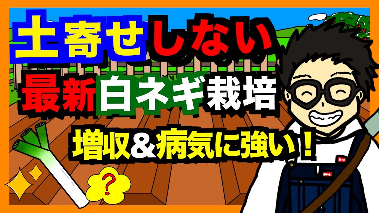 【最新農法】土寄せしない白ネギ栽培！この方法で収益増加の可能性あり！遮光ネット栽培方法を解説！【アニメでわかる家庭菜園・ガーデニング解説】