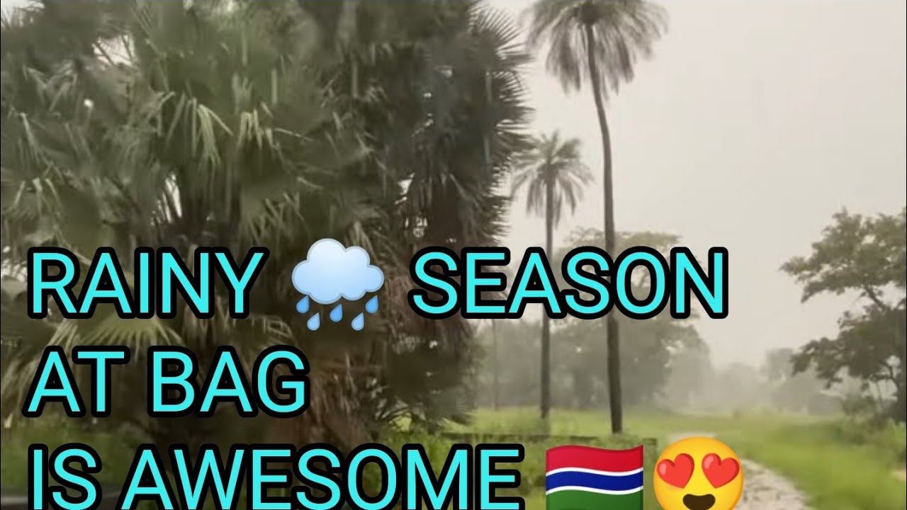 This rainy season is awesome out at Black Acres of The Gambia