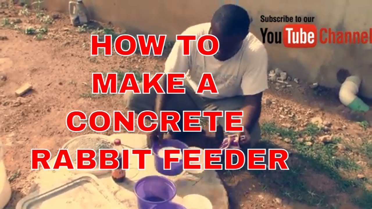 How To Make Concrete Rabbit Feeder