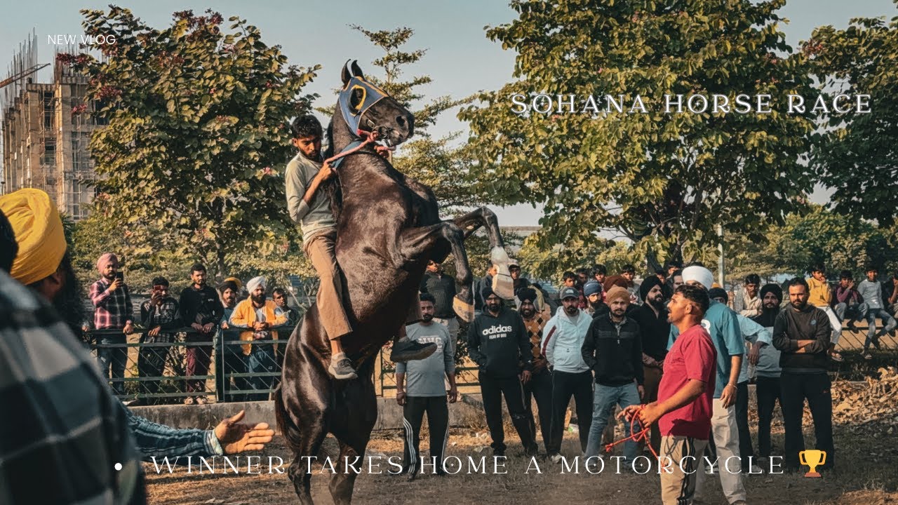 Horse Race at Sohana (Mohali) Motorcycle Awarded as First Prize | New Horse Videos 2025