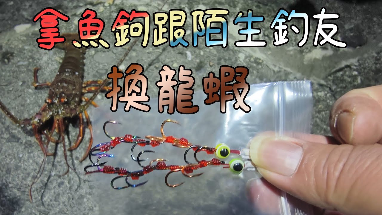 拿魚鉤 跟陌生釣友換龍蝦  
