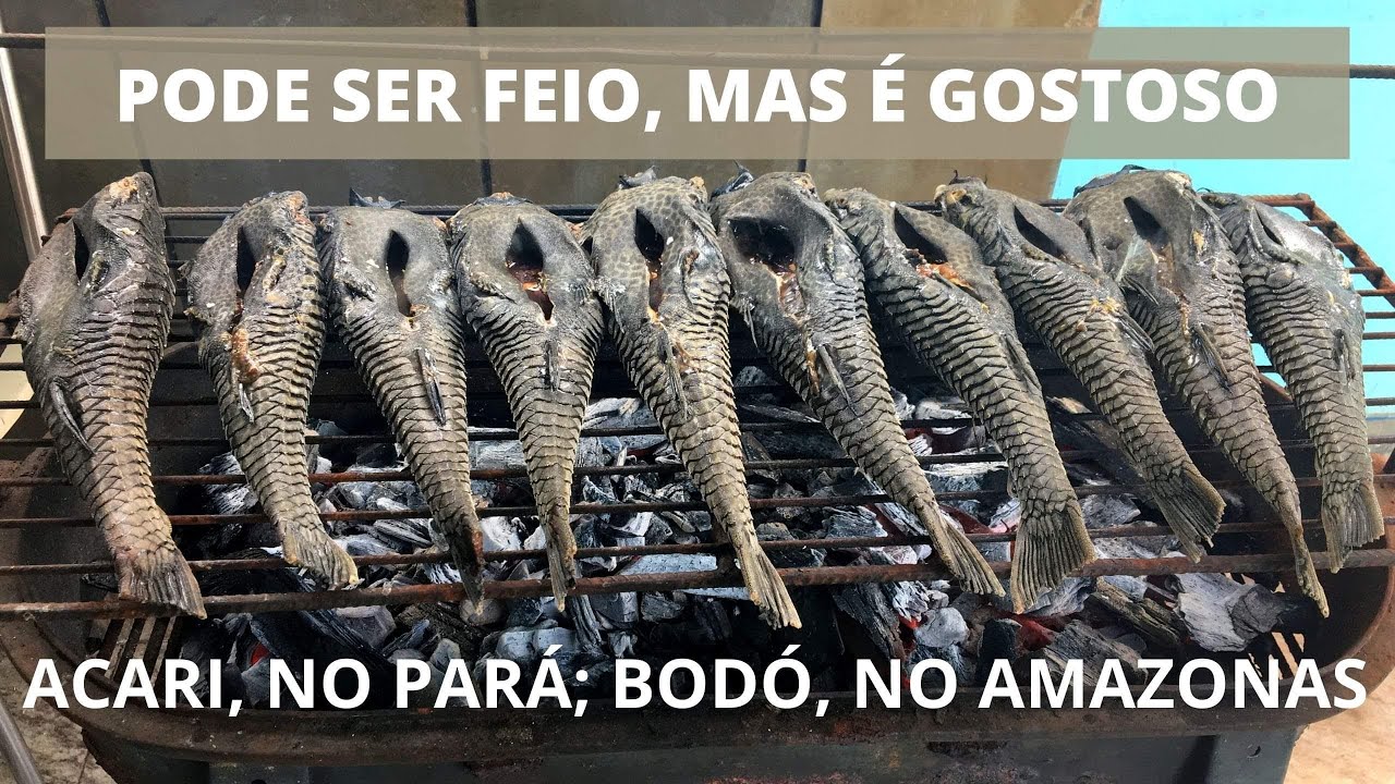 Fui à Feira do Pescado em Santarém comprar ACARI para um almoço de sábado