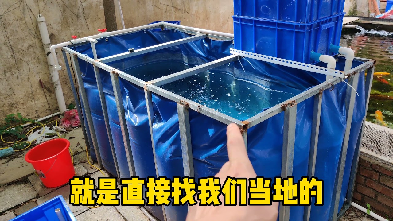 几个月折腾掉数万元，帆布鱼池的经验教训都在这了，纯干货！