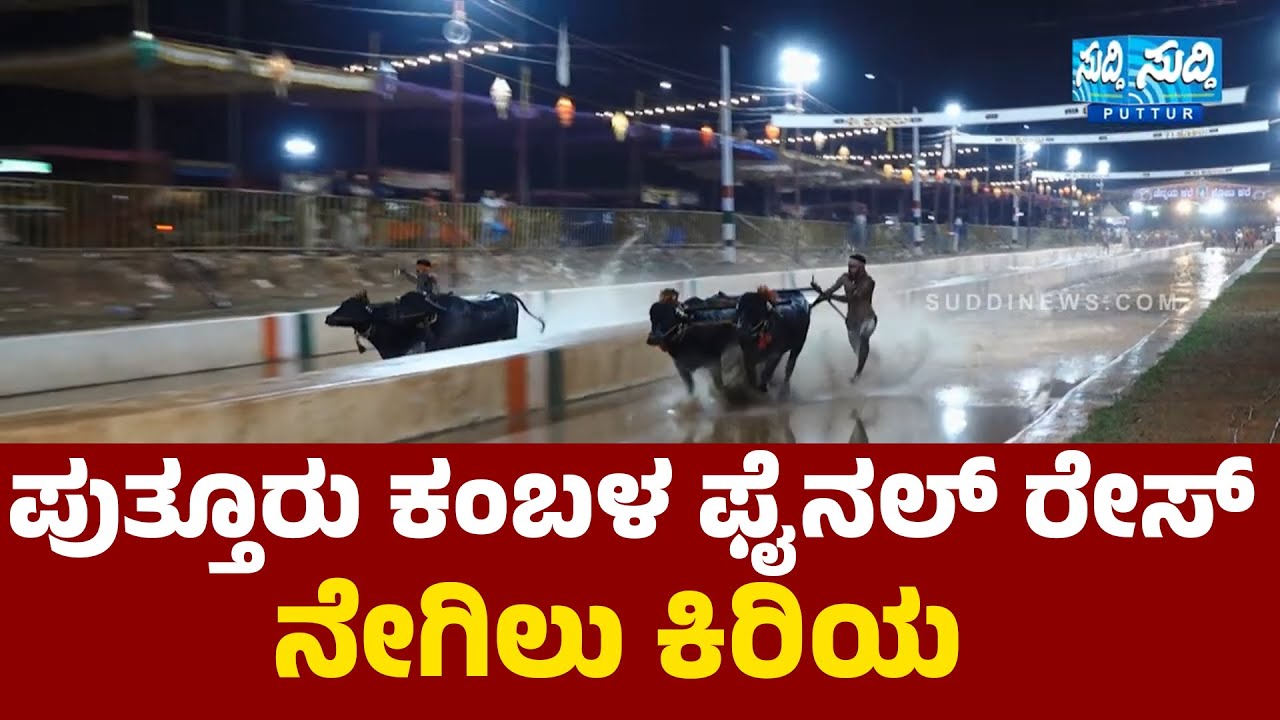 Puttur Kambala Final Race| ನೇಗಿಲು ಕಿರಿಯ | Udupi Brahmagiri V/S Muniyalu