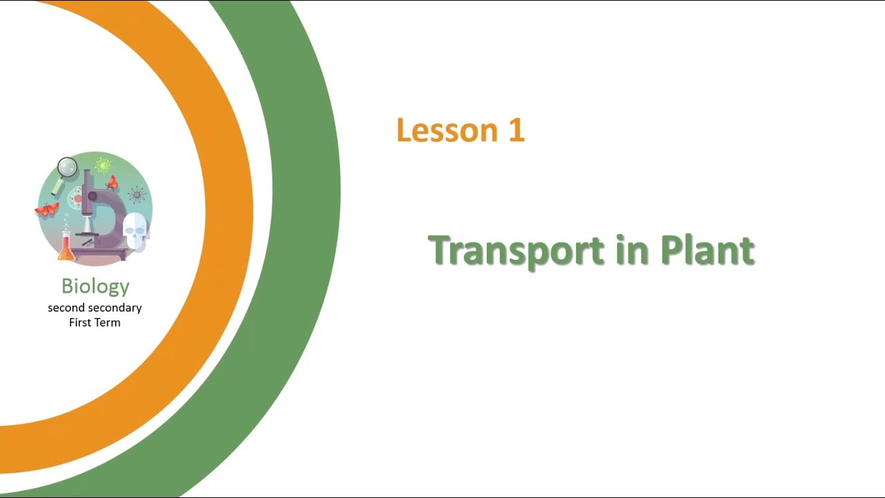Unit 1 - Chapter 2 - Lesson 1 - Transport in Plant