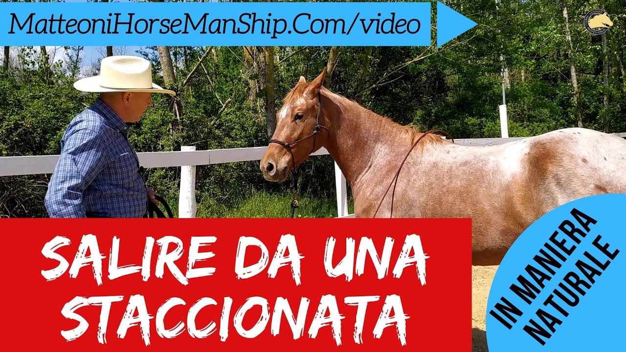 Come insegnare al cavallo a farci salire da una staccionata