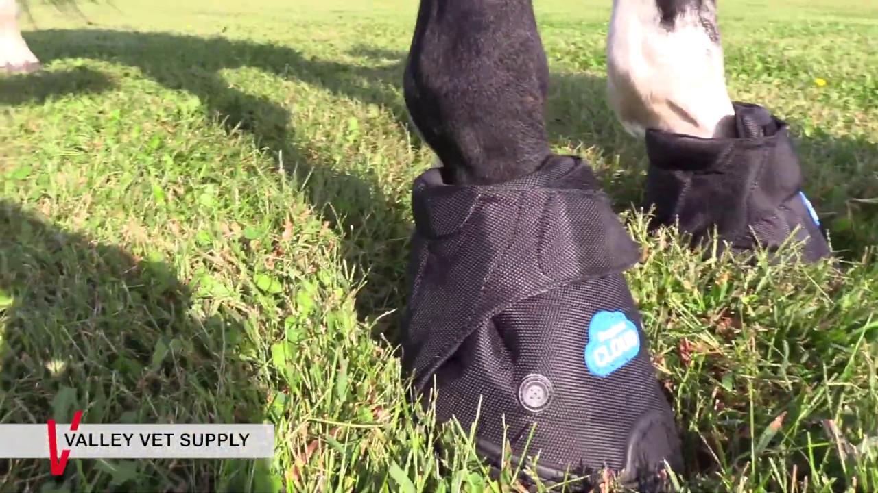 Easyboot Cloud Therapeutic Hoof Boots