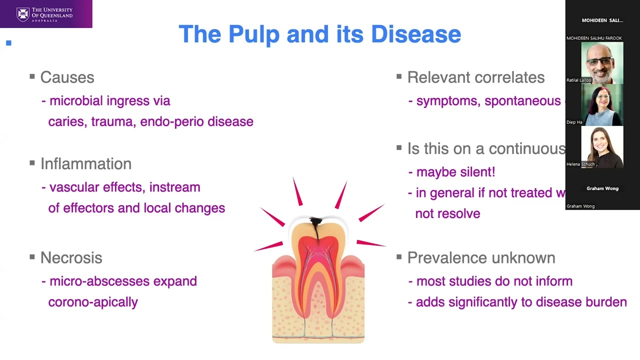 Dentistry Seminar Series - Professor Ove Peters September 2024