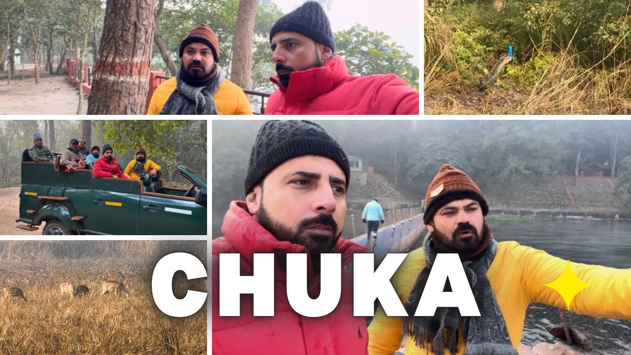 Morning Safari End in Pilibhit! Nashta + Tree House + Wildlife +Tiger Dusre Zone Mein! 🐅 Part 2