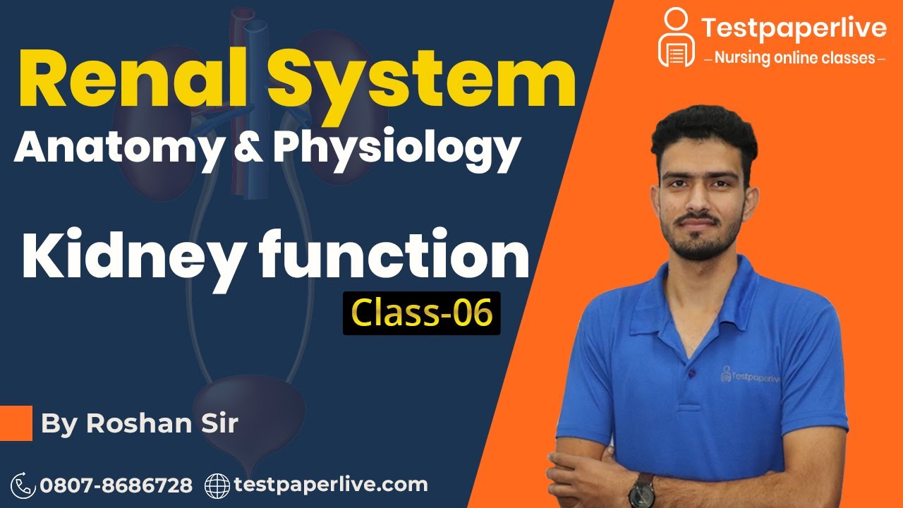 MSN | Functions of Kidney | Nursing online Classes | Nursing Officer & Staff Nurse by Testpaperlive