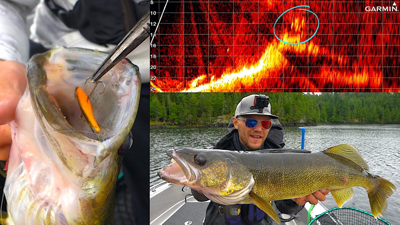SMASHING Big Walleye Schools During Tournament (KWO 2020)