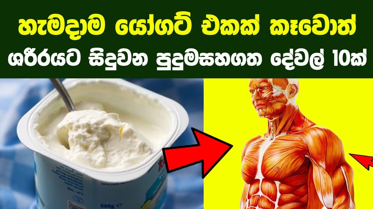 හැමදාම යෝගට් එකක් කෑවොත් ශරීරයට සිදුවන පුදුම දේවල් 10ක් |Health Benefits of Eating Yoghurt Every Day