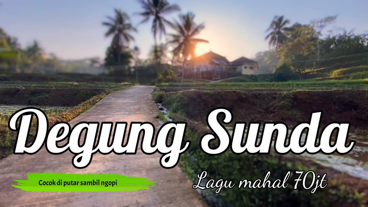 Degung Sunda Pernikahan Cocok diputar Sambil Ngopi di sawah yang baru selesai di tandur, bikin betah