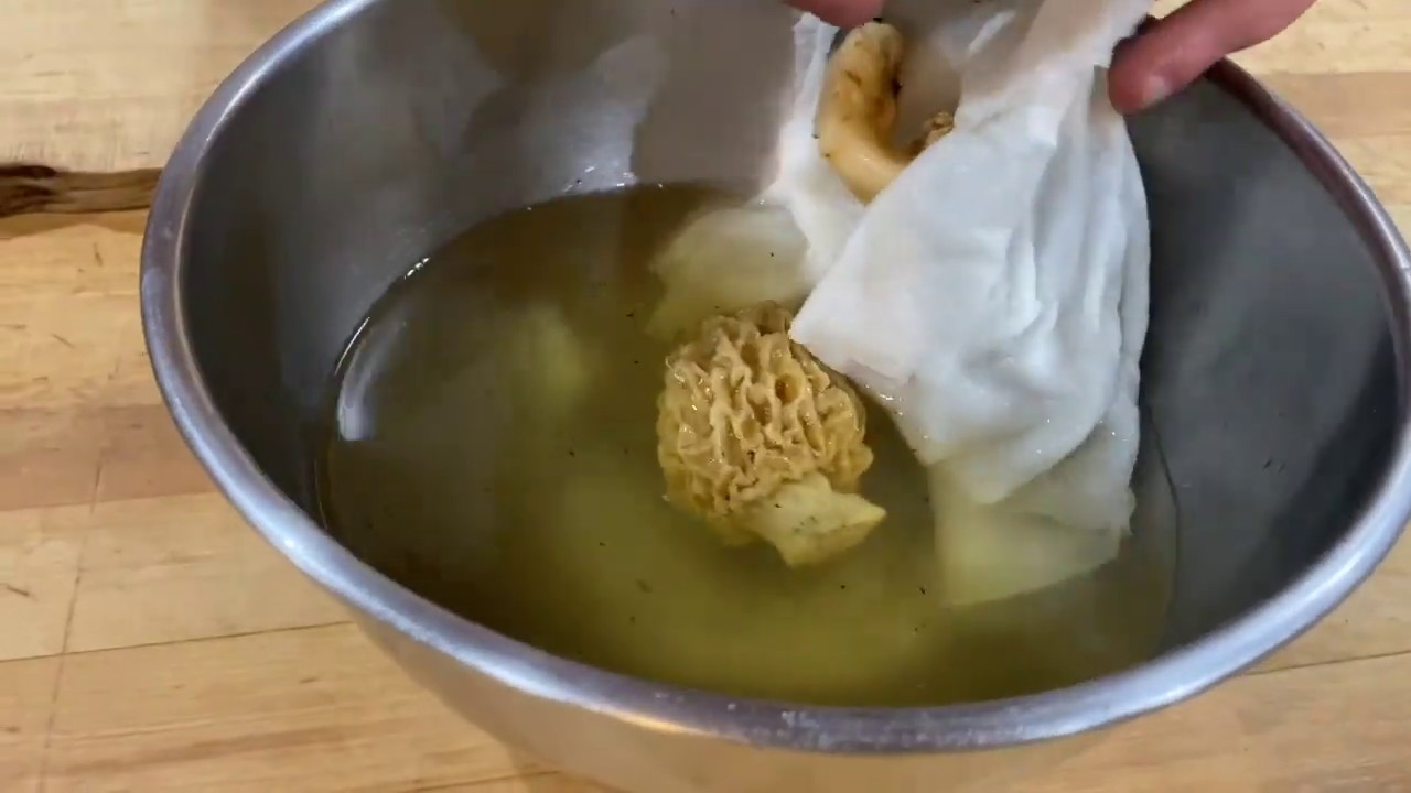 Making Fried Morel Mushrooms with James Bruzzi