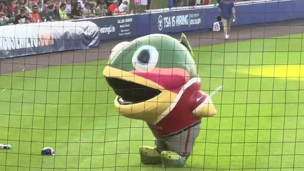 Zooperstar Ant eater