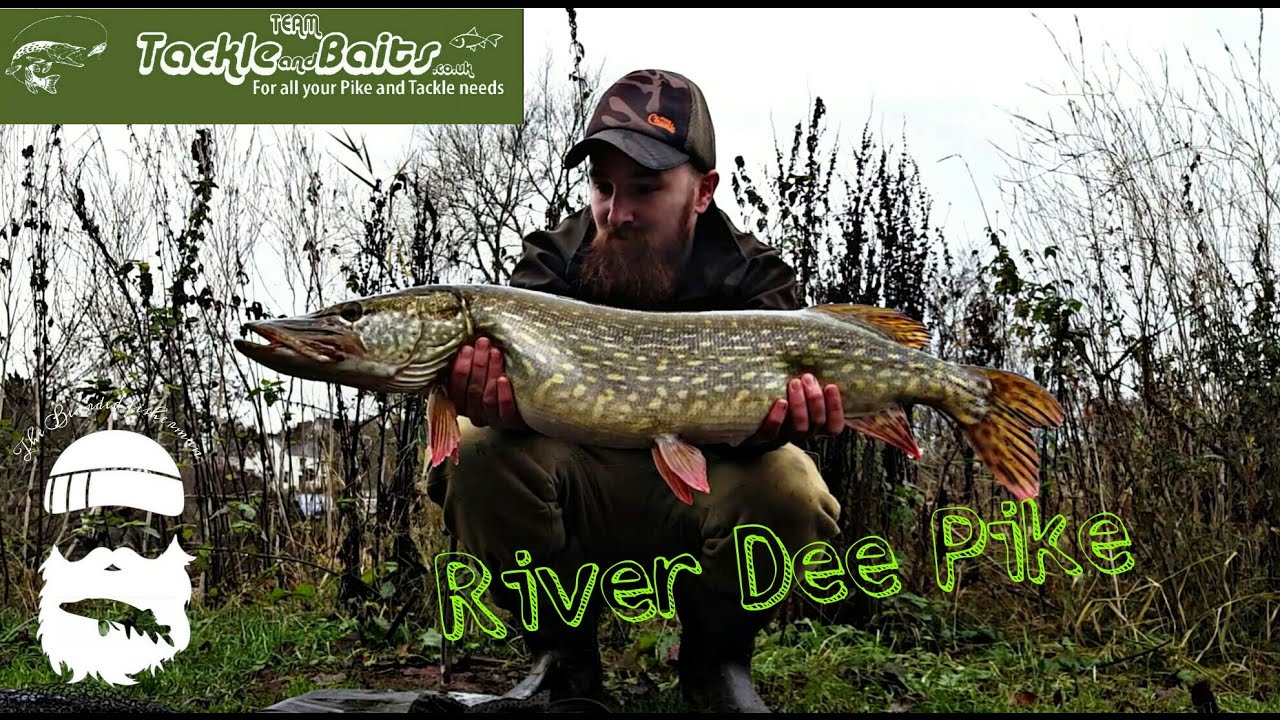 River Dee Pike fishing