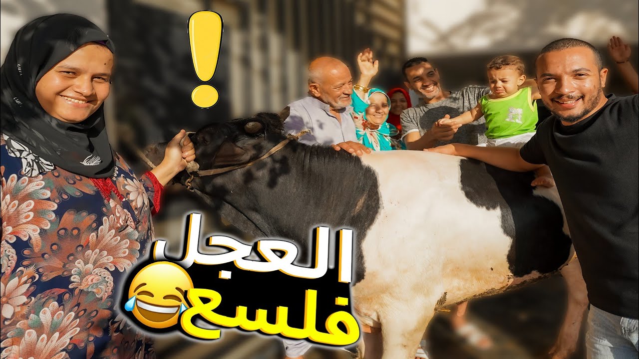 بعد ما العجل جالنا!!🐃فك مننا وفلسع 😱( روقنا علية واتدلع 😂)