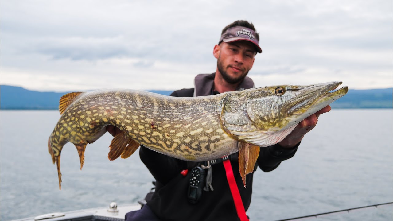 ENORME BROCHET du LEMAN avec Quentin Meiller
