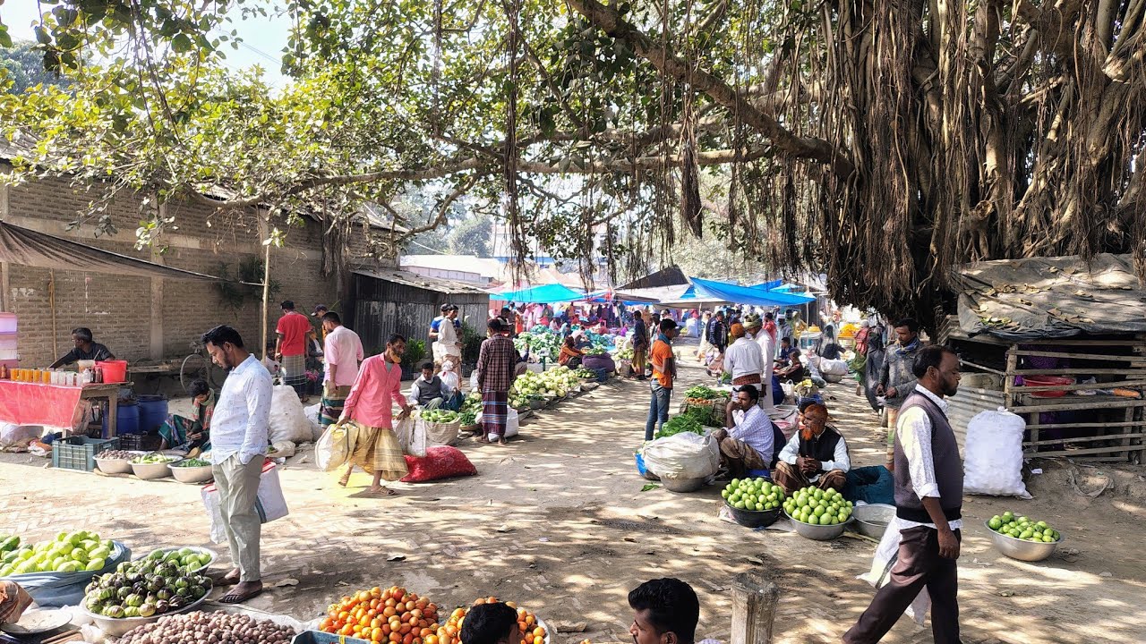 শত বছরের পুরনো গ্রামের হাট। Village Hat Bazar #village_Hat #গ্রাম 