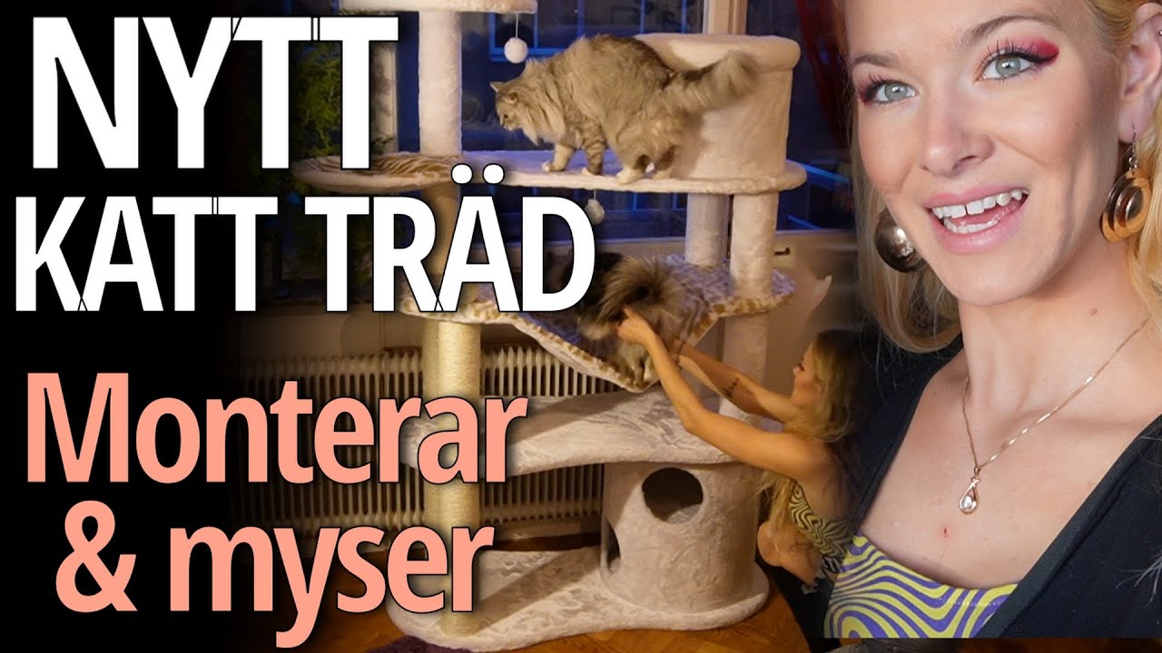Köpt nytt kattträd - klöspåle, klösmöbel eller snarare ett fort!