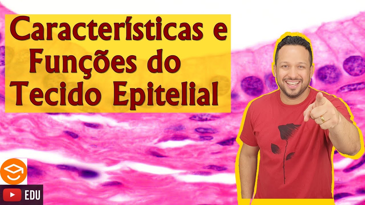 Características e Funções do Tecido Epitelial - Tecido Epitelial - Histologia Animal