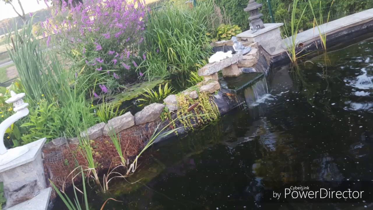 Sch&ouml;ner Garten bei Tag und Nacht ⛲🌅