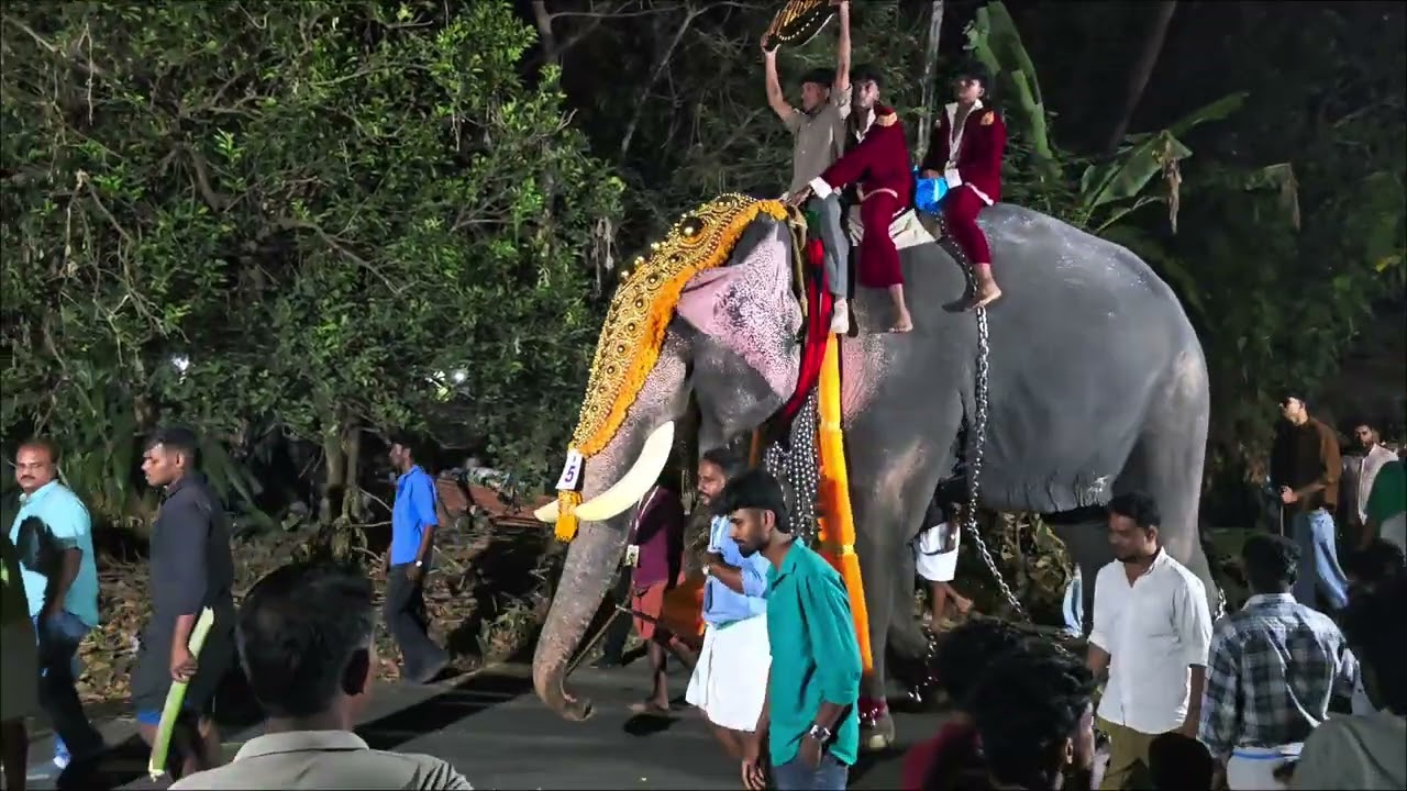 Vk കടവ് ഫെസ്റ്റ് 2026