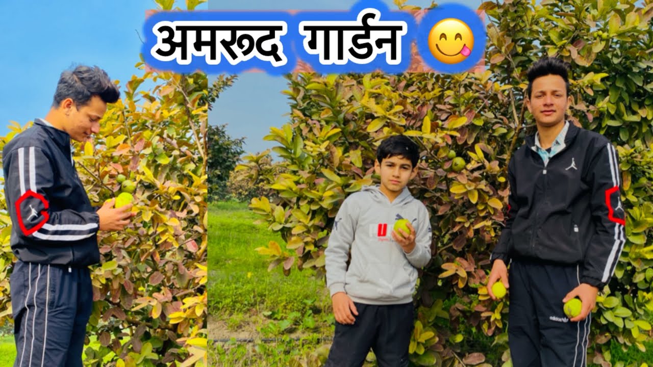 ਅਸੀ ਖਾਧੇ ਅਮਰੂਦ 😜