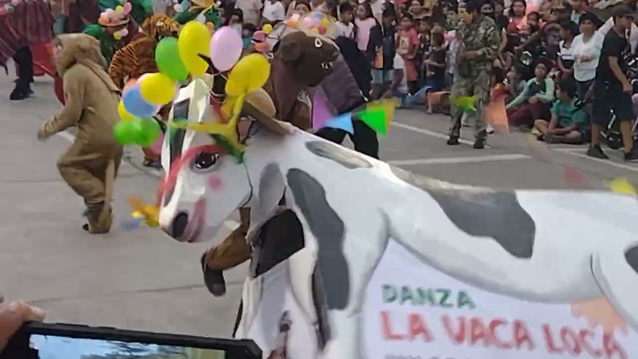 concurso de la vaca loca en la ciudad de Ferreñafe