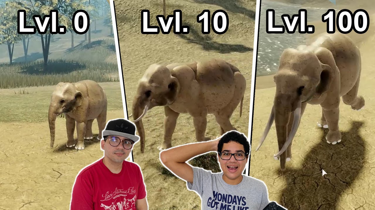 CICLO DE VIDA DE UM ELEFANTE!!! (de filhote ao adulto)