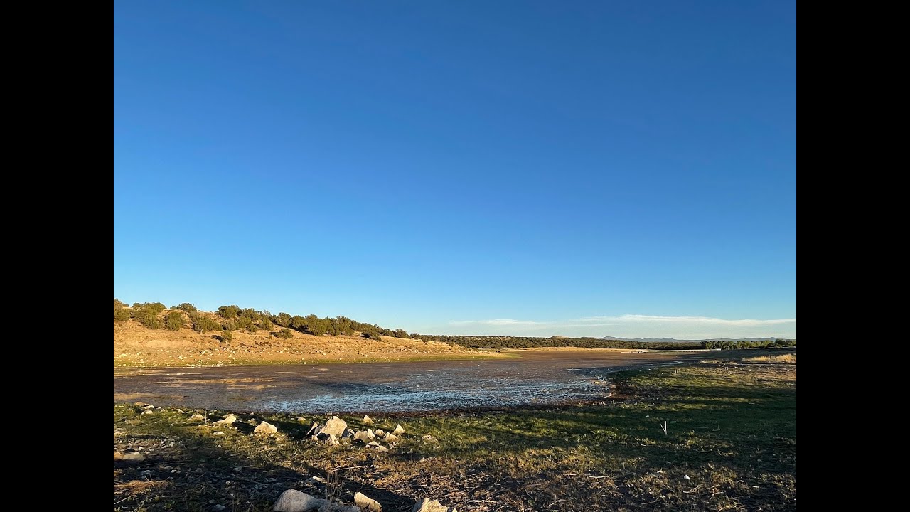 Reviving an Oasis—The Concho Spring Project