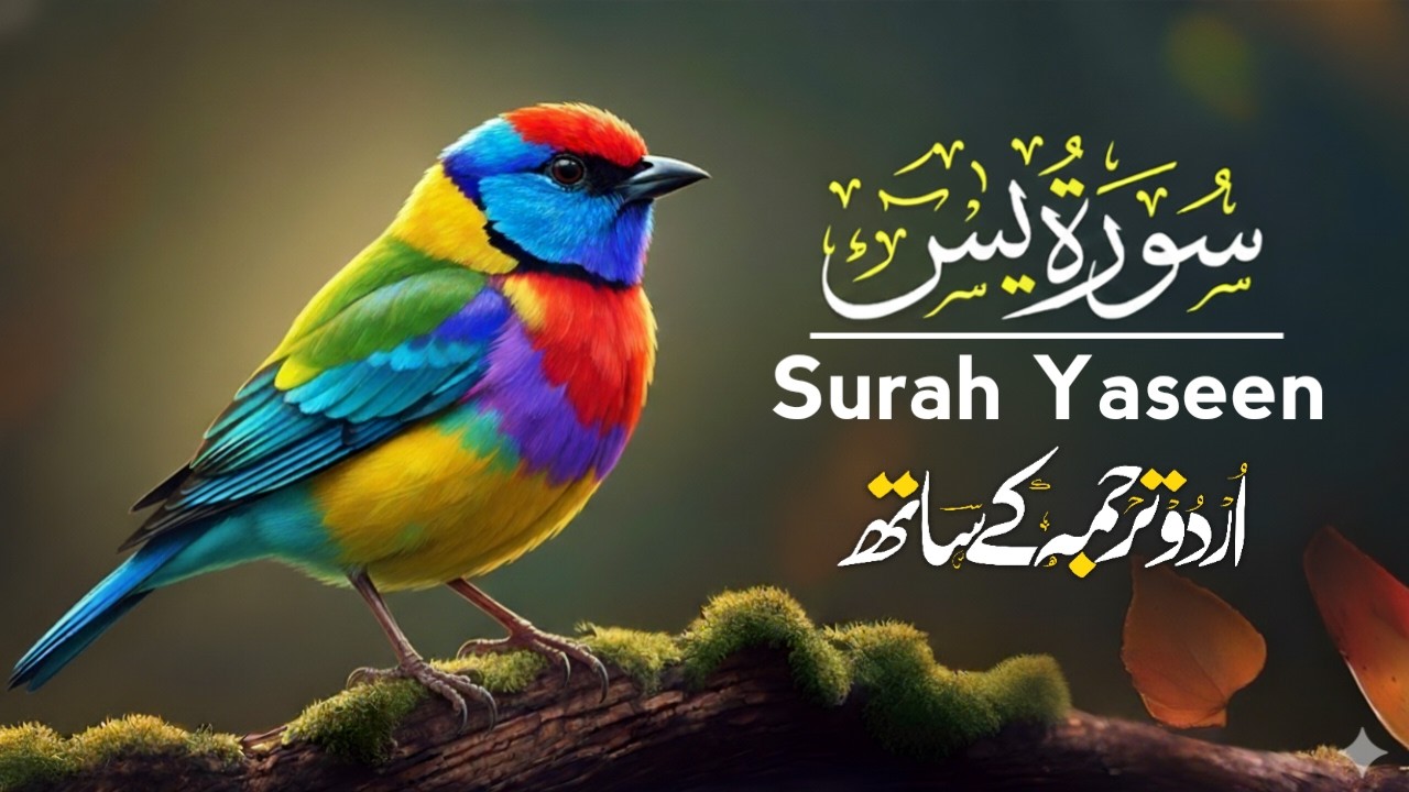 Surah Ya-Sin (Yaseen) Complete Tilawat | Urdu + Hindi Tarjuma | Peaceful Quran Recitation