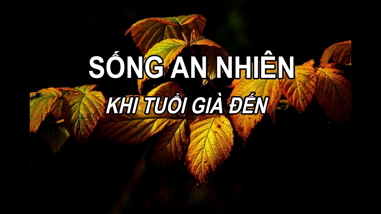 SỐNG AN NHIÊN KHI TUỔI GIÀ ĐẾN
