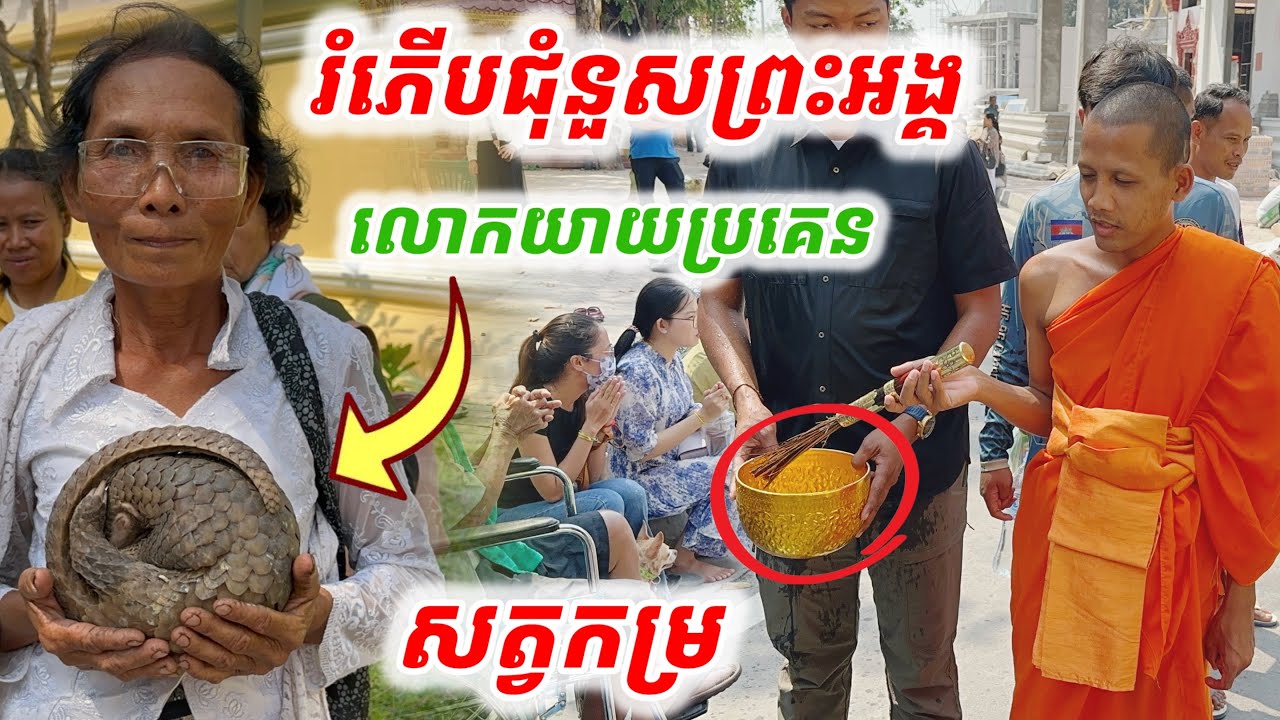 #រំភើបជុំនួសព្រះអង្គ#លោកយាយប្រគេនសត្វកម្ររ